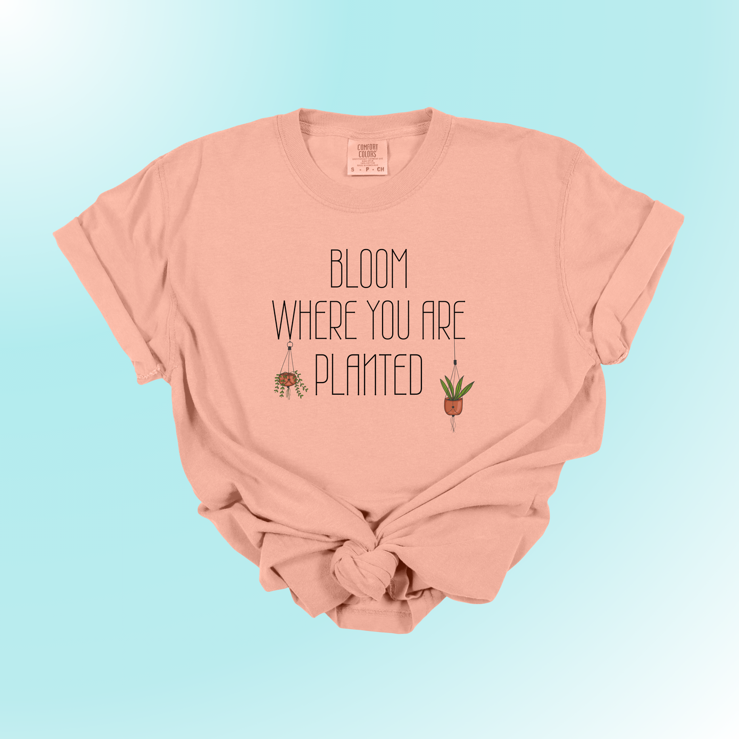 Bloom Where You Are Planted